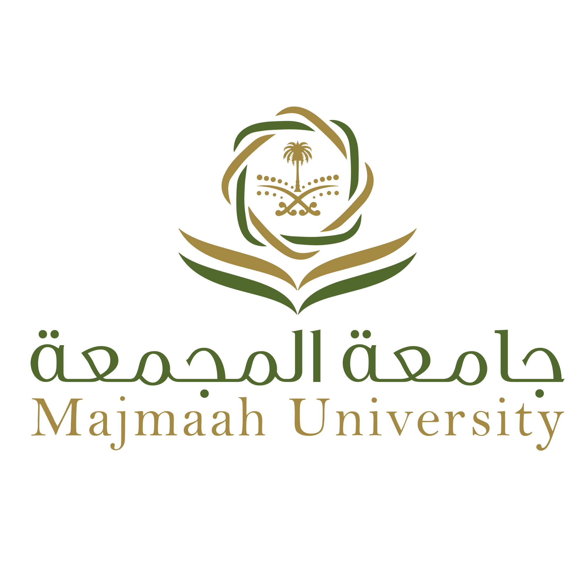 King Khalid University